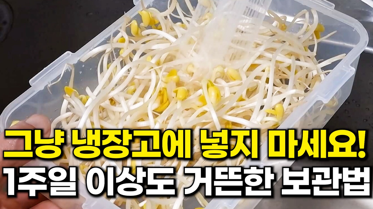 콩나물 보관법