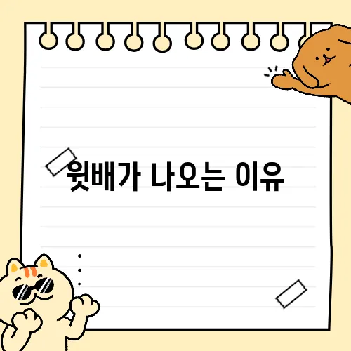 윗배가 나오는 이유