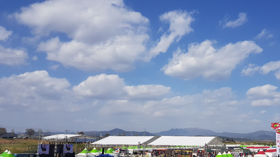 논산딸기축제