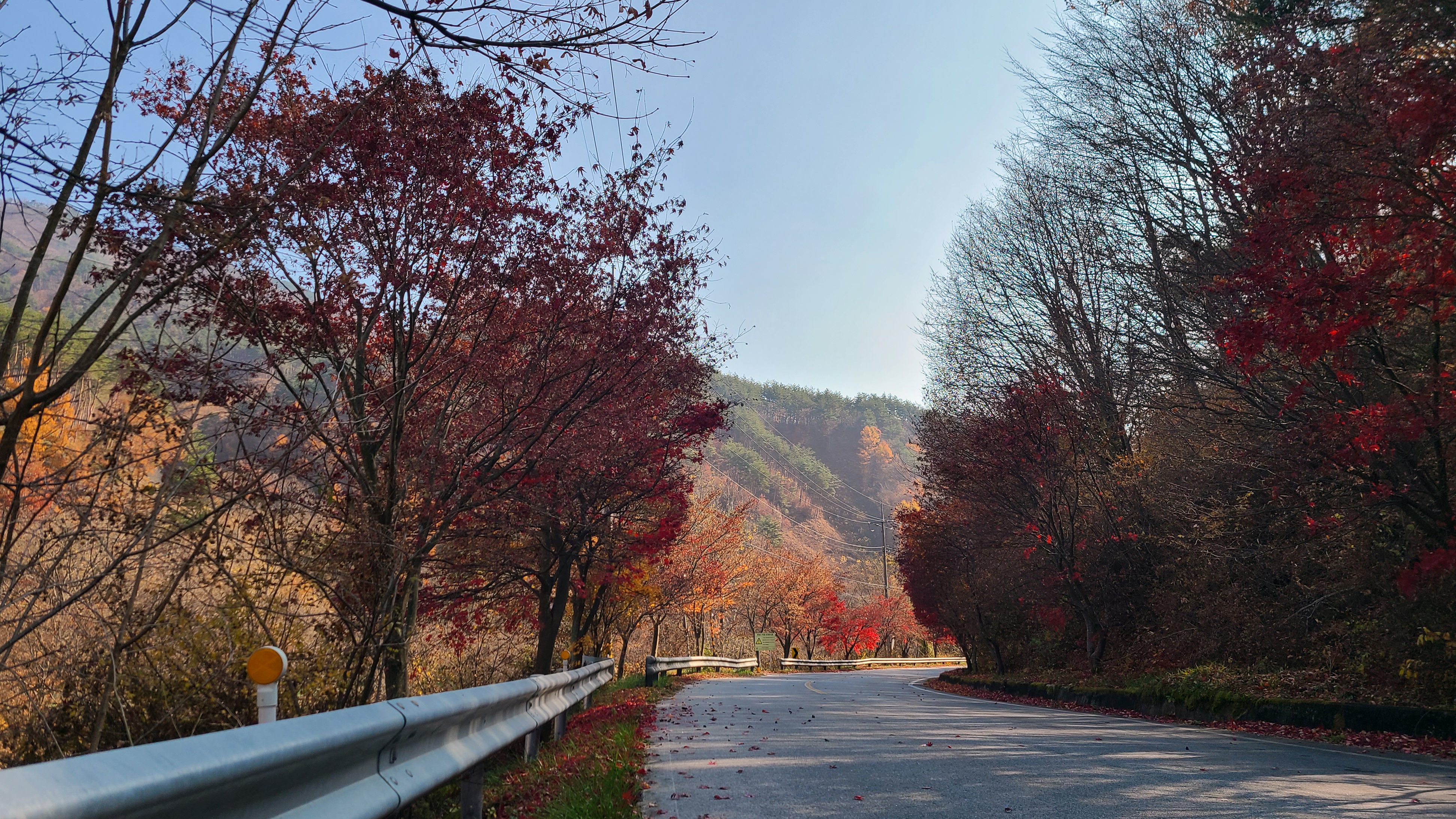 이름 모를 가을길