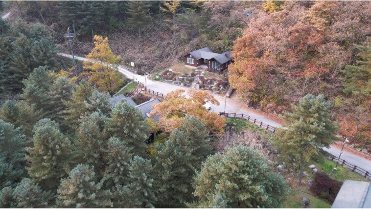 칼봉산자연휴양림여름사진