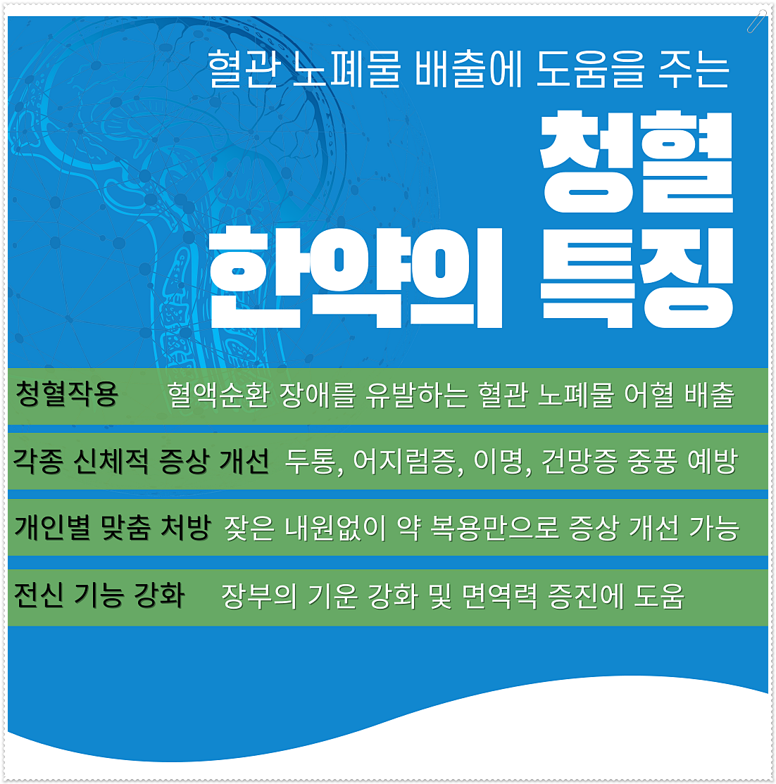 청혈 한약의 특징을 설명해 놓은 이미지