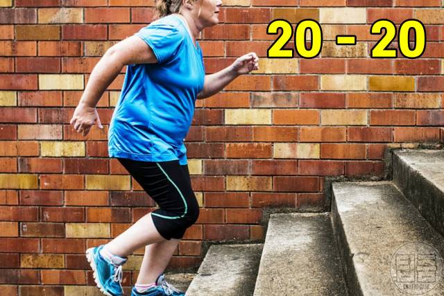 올챙이뱃살 빼는법 올챙이배 빼기 내장지방