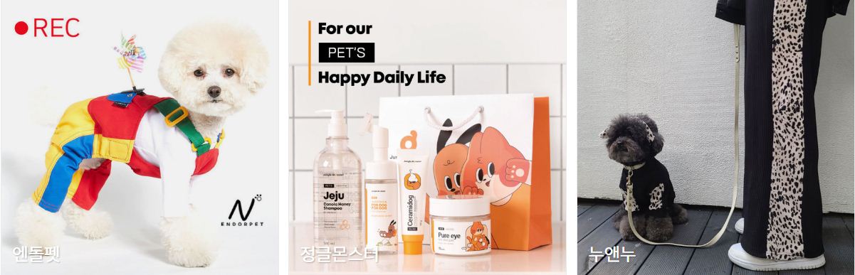 부산펫쇼 참가업체