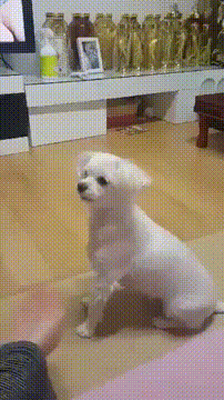 경제뉴스 부동산뉴스 9월 1일