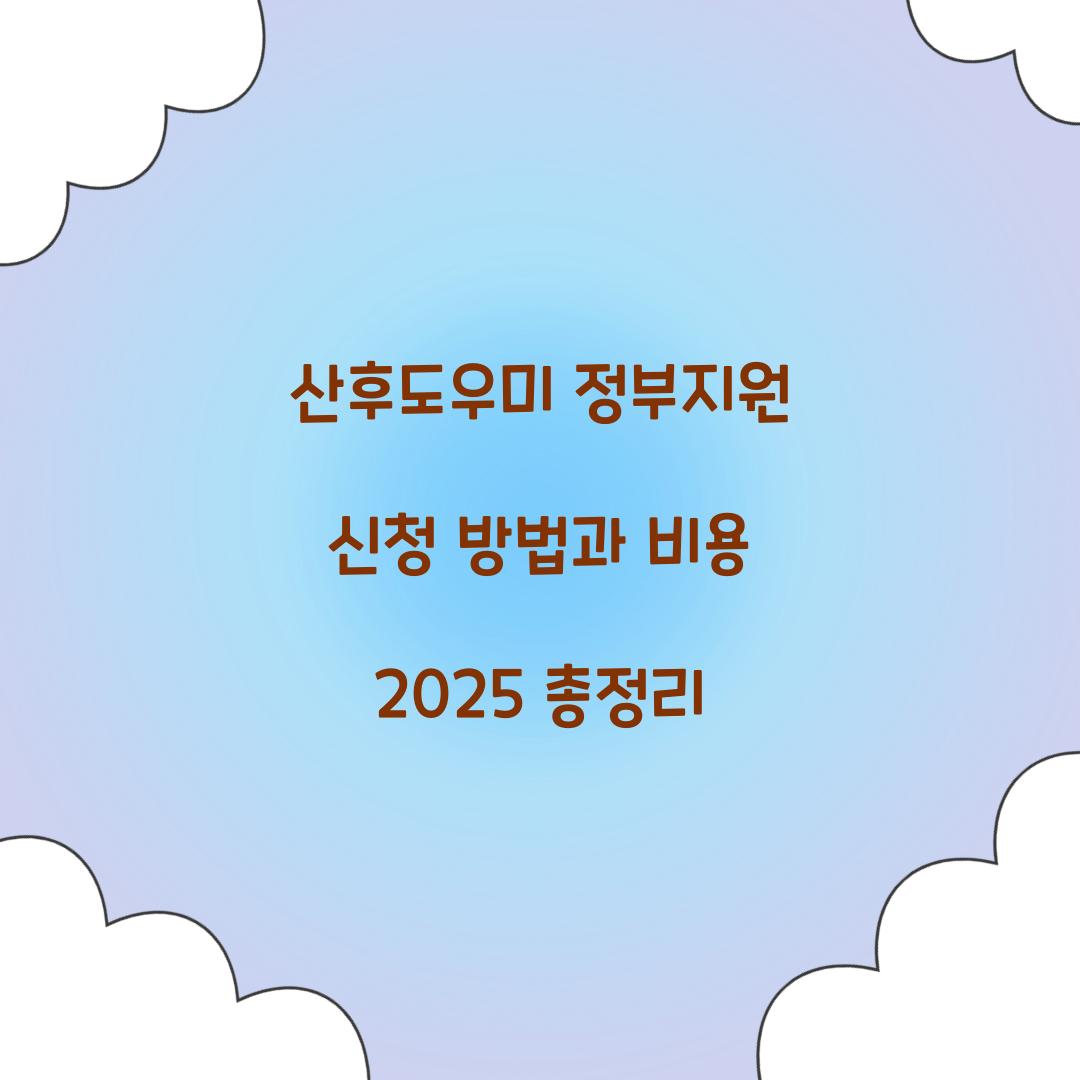 산후도우미 정부지원