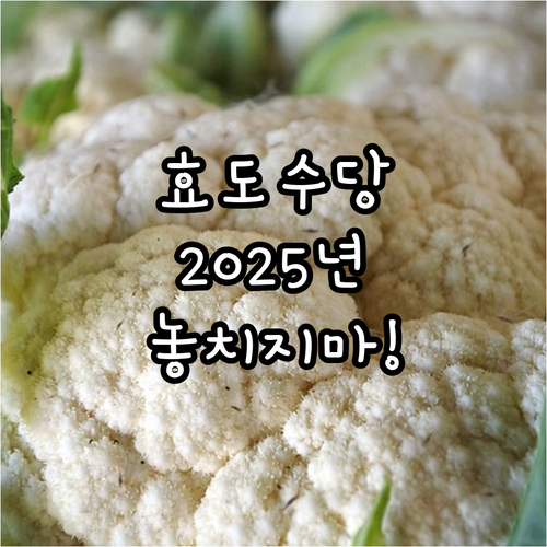 2025 제천 효도수당: 다세대 가정..