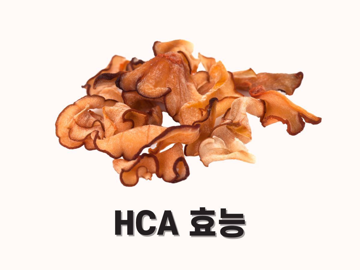 가르시니아 캄보지아 효능