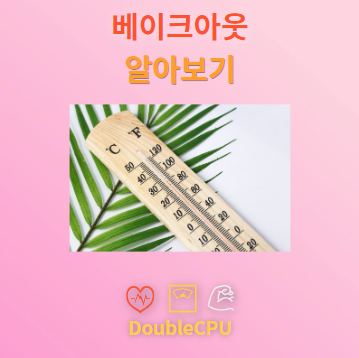 베이크아웃 알아보기