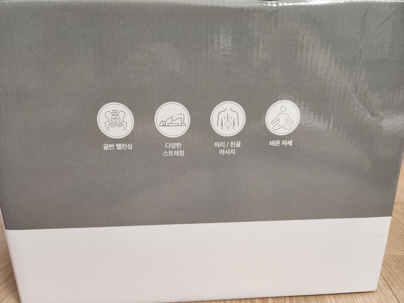 에르고바디 벨라핌 코어 구매 후기