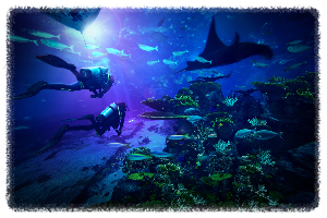 S.E.A 아쿠아리움