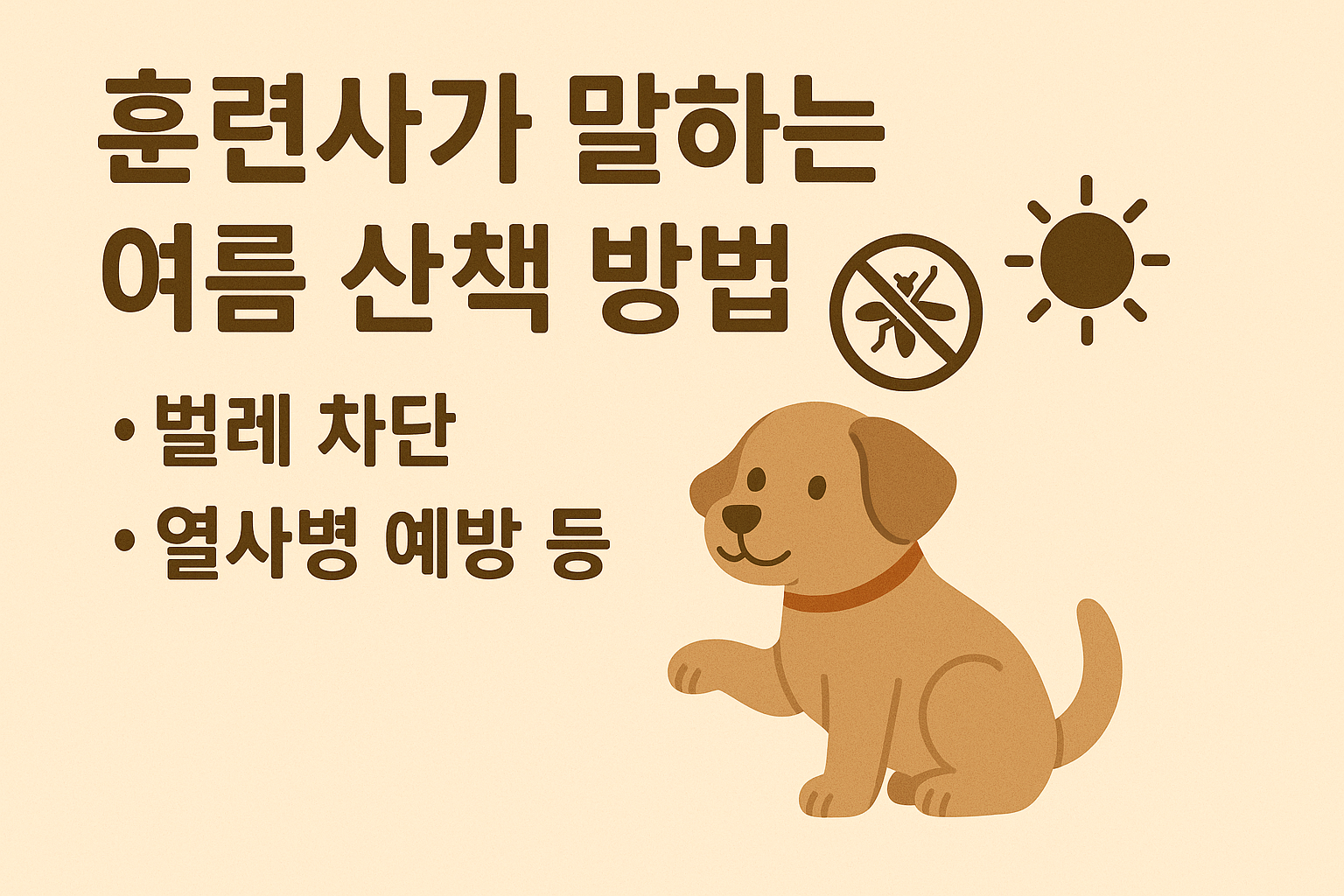 훈련사가 말하는 여름 산책 방법 이미지