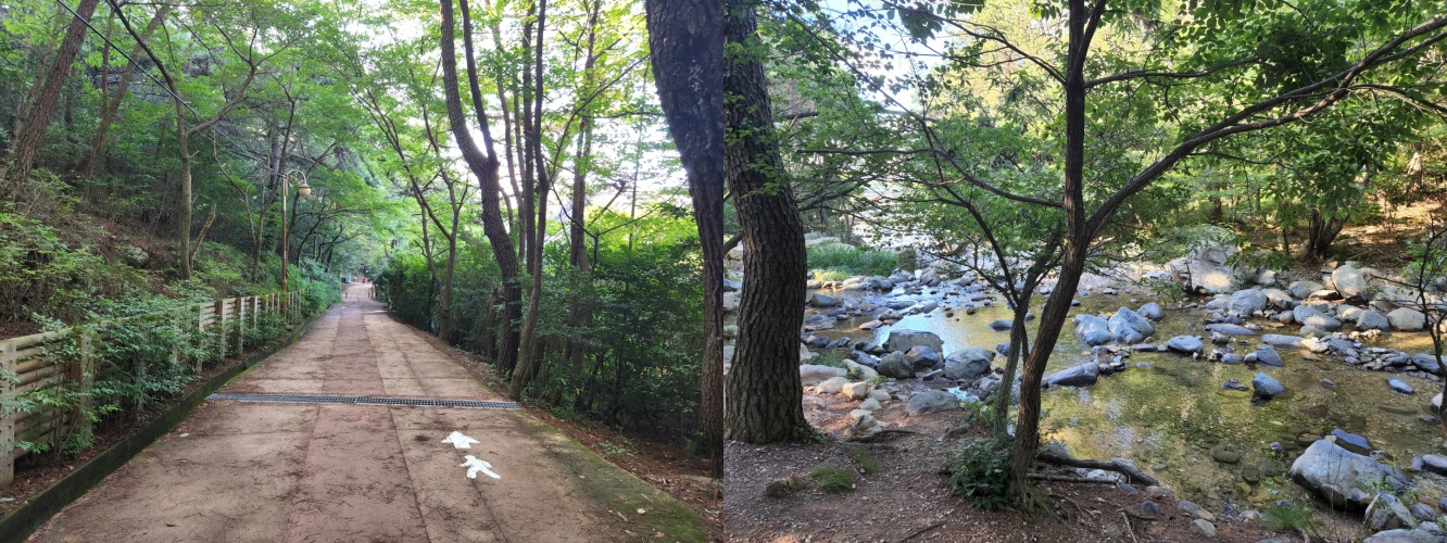장산계곡