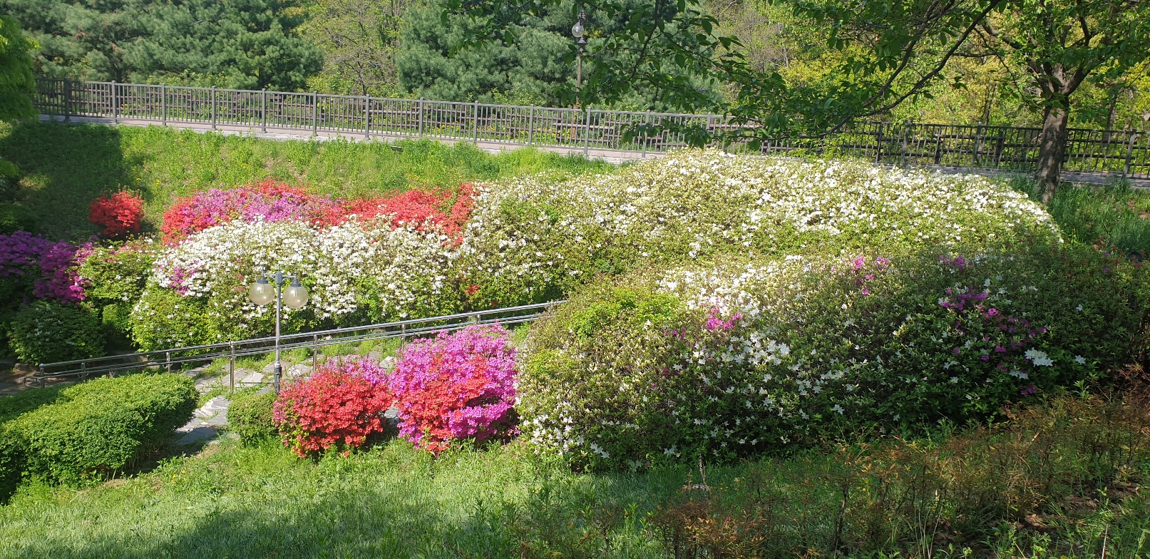 진해군항제 숙소 추천(가성비.위치.예약 꿀팁 총정리)