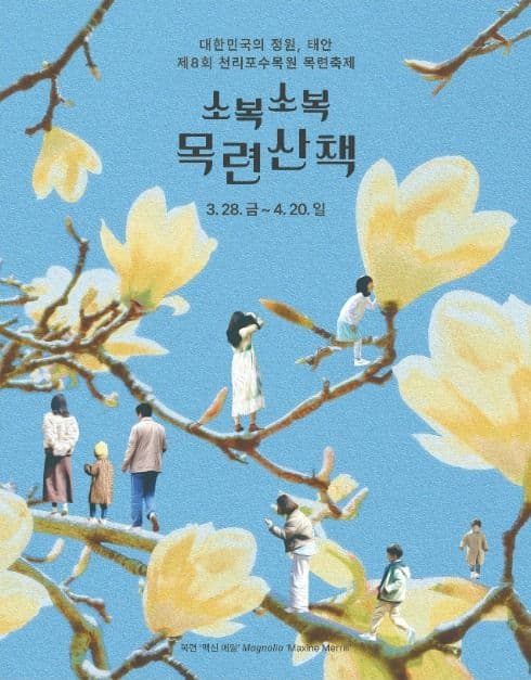 천리포수목원 목련축제｜비공개 정원 개방, 숙박, 온라인예약 팁까지!