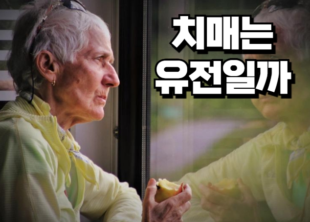 루이소체 치매_치매 유전