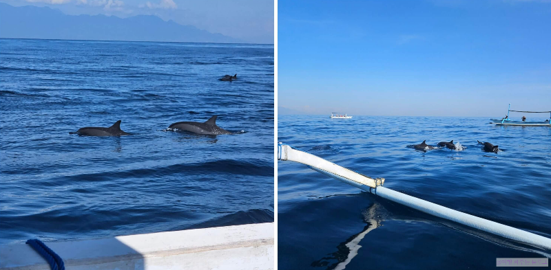 #발리공항픽업 #발리여행