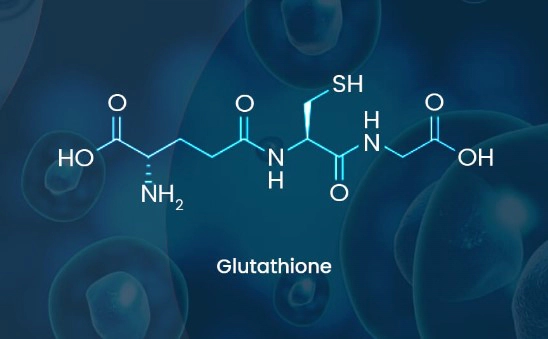 글루타치온 효능 부작용 및 글루타치온 많이든 음식 정리