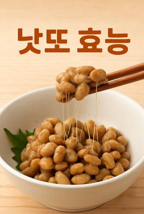 낫또 효능
