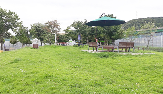 용인 반려견 놀이터