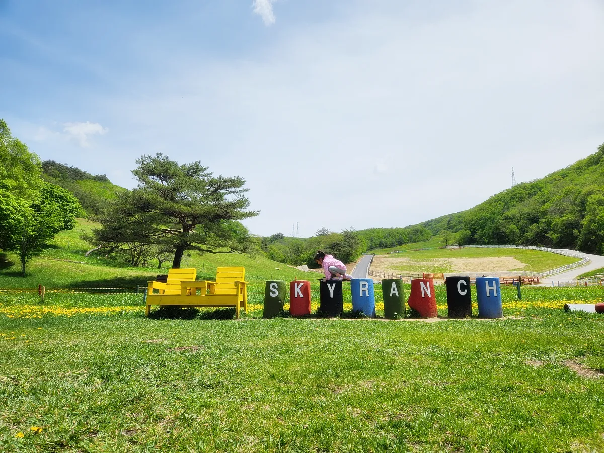 평창-하늘목장-포토존