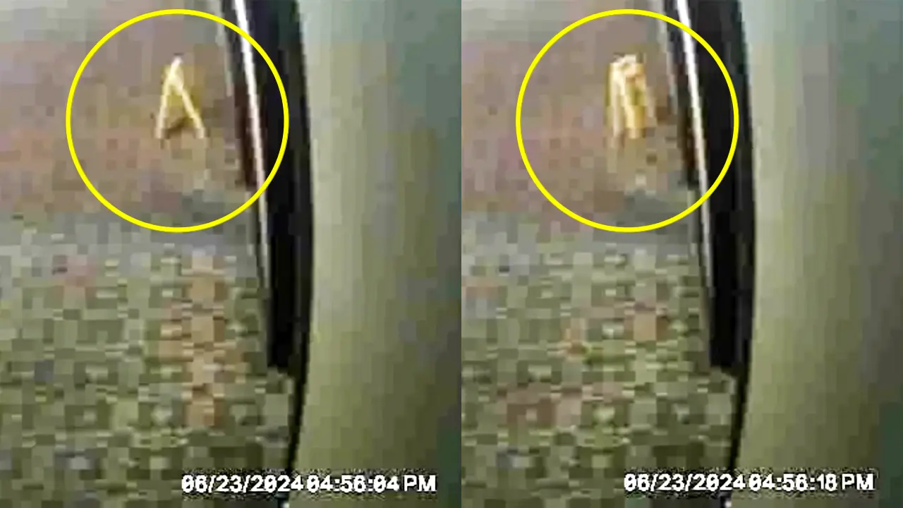 저절로 움직이는 호텔 내부 물건이 CCTV에 잡혔다 - 크레센트 호텔 유령 목격담들