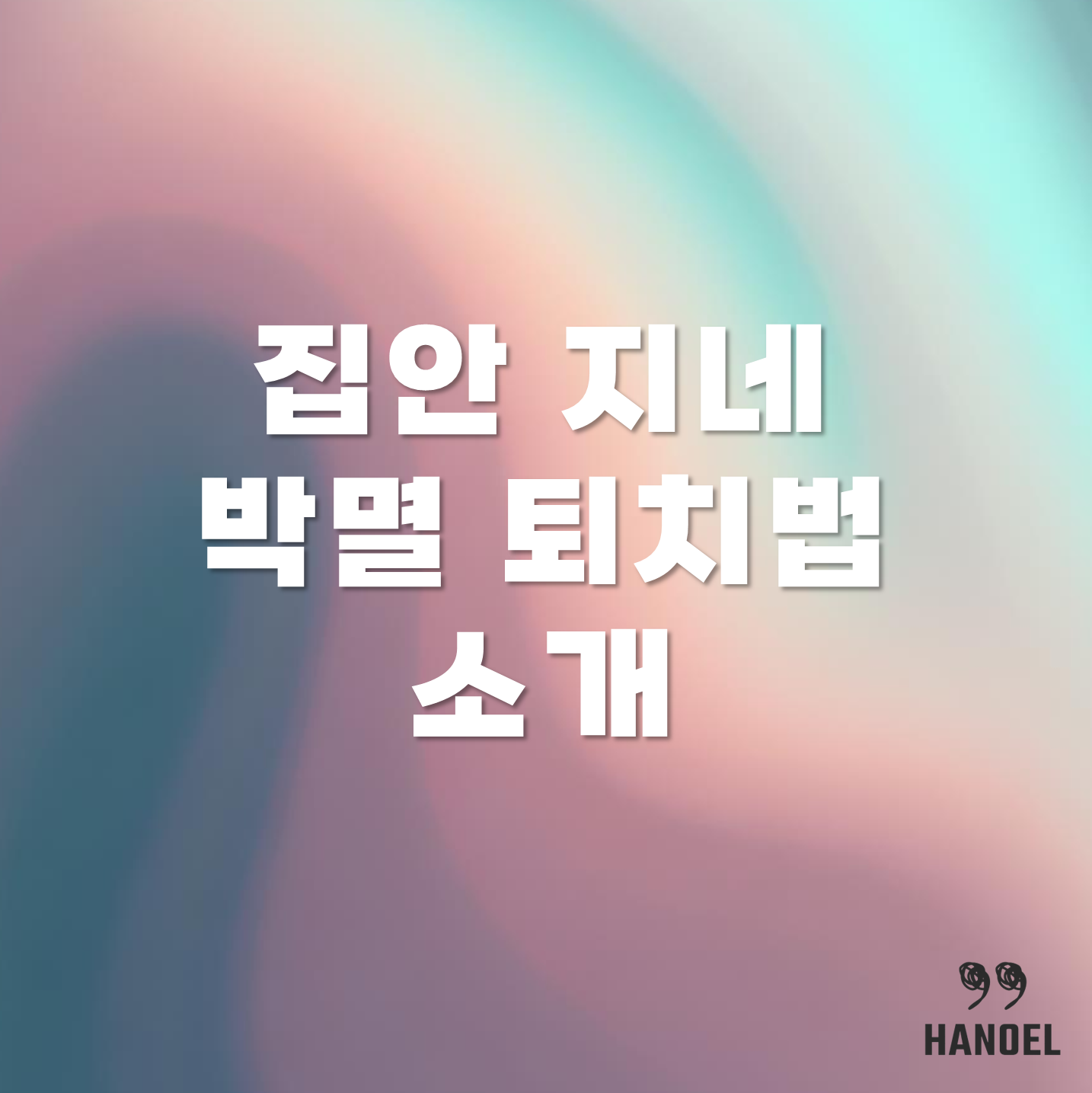 집안 지네 박멸 퇴치법 소개