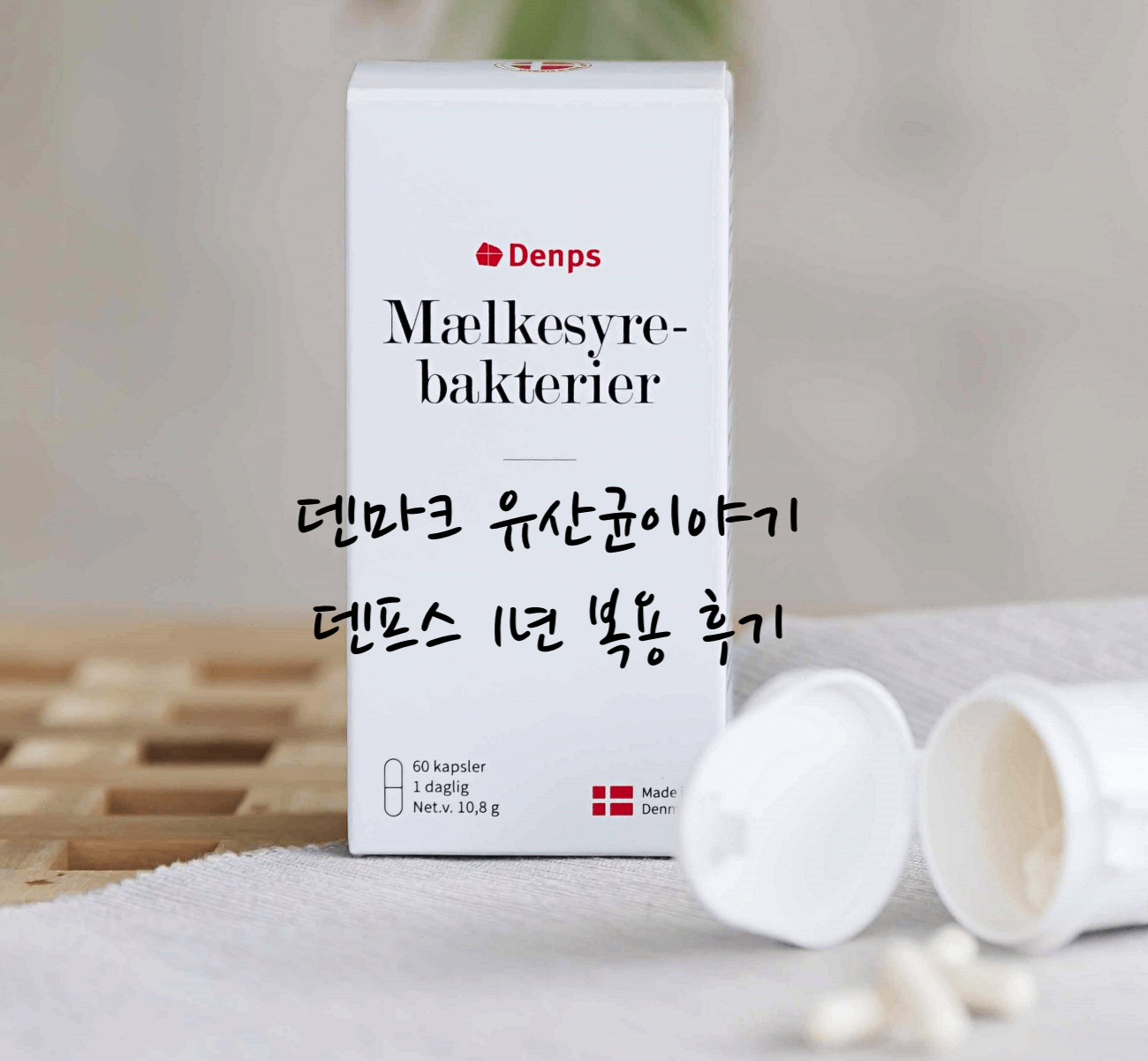 덴마크 유산균이야기