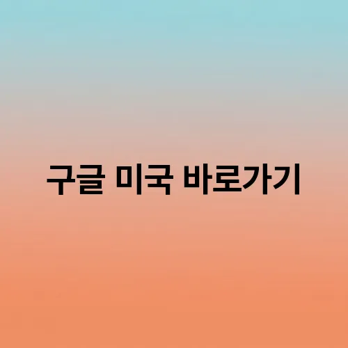 구글 미국 바로가기