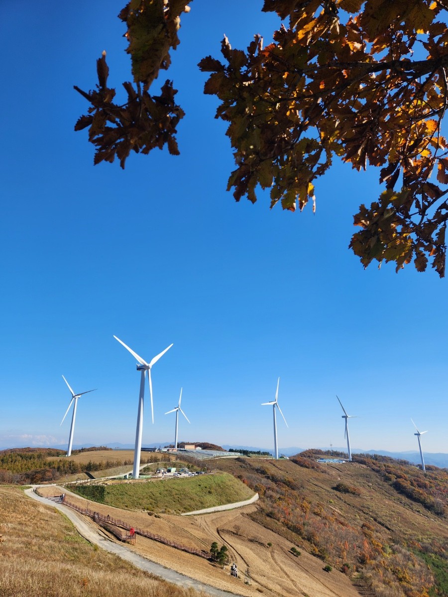 2025 평창 시티투어 예약&amp;#44; 2025 평창 시티투어 시간표&amp;#44; KTX 당일치기 여행&amp;#44; 가성비 여행