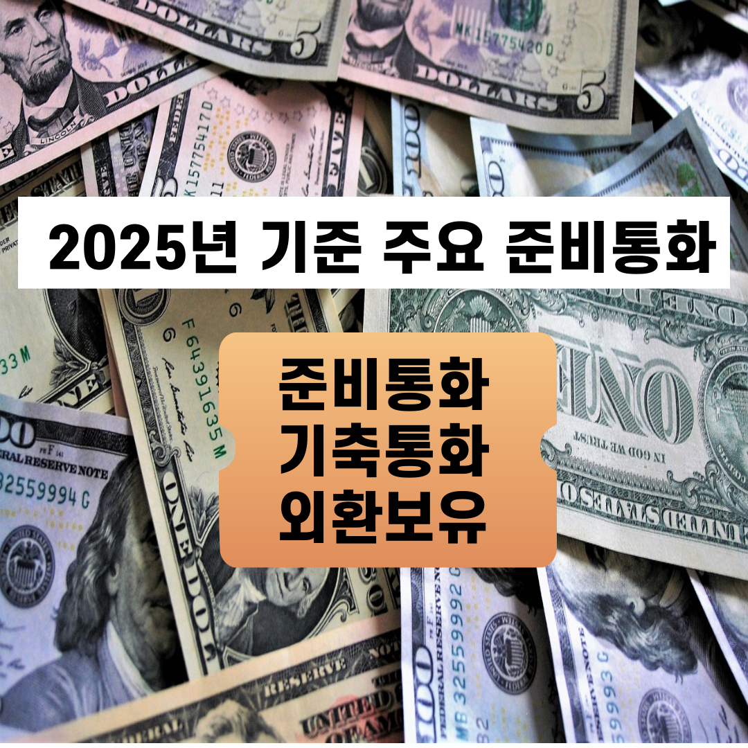 2025년 기준 주요 준비통화(준비통화, 기축통화, 외환보유)