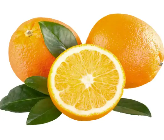 요로결석에 좋은 음식 피해야 할 나쁜 음식