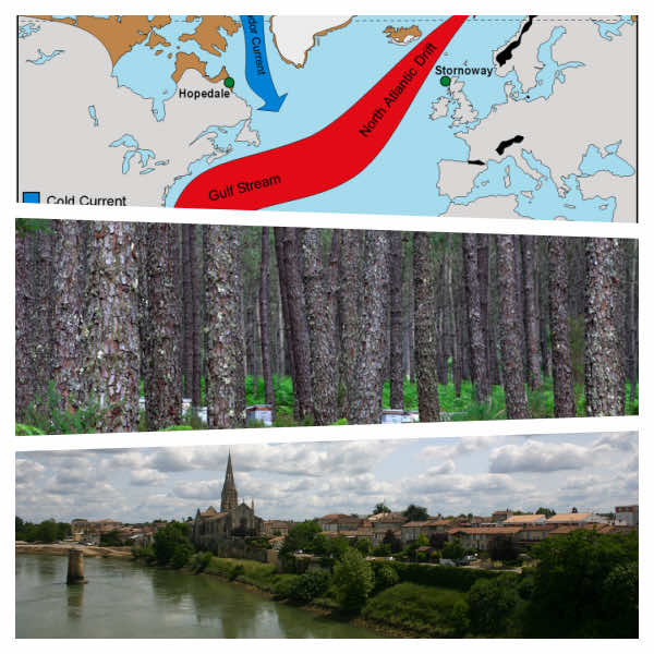 보르도의 기후에 영향을 미치는 요소들