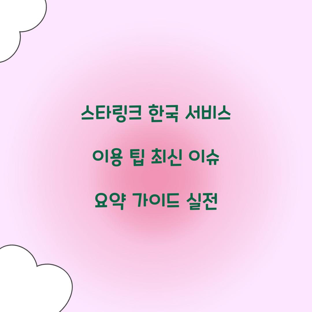 스타링크 한국 서비스