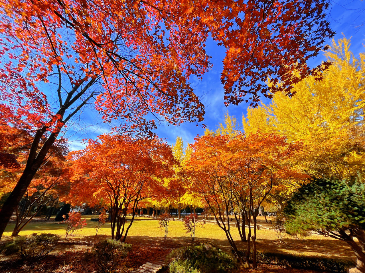 국내여행지베스트10