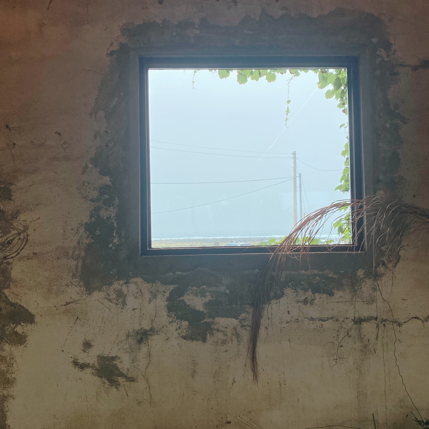 제주 서귀포 대정 서림연대 인스밀 곡물창고 개조카페 in's mill 보리개역 보리 청보리 제주 특산물