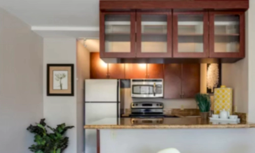 집에 바퀴벌레 있는지 없는지 확인하는 방법 (바퀴벌레 종류)