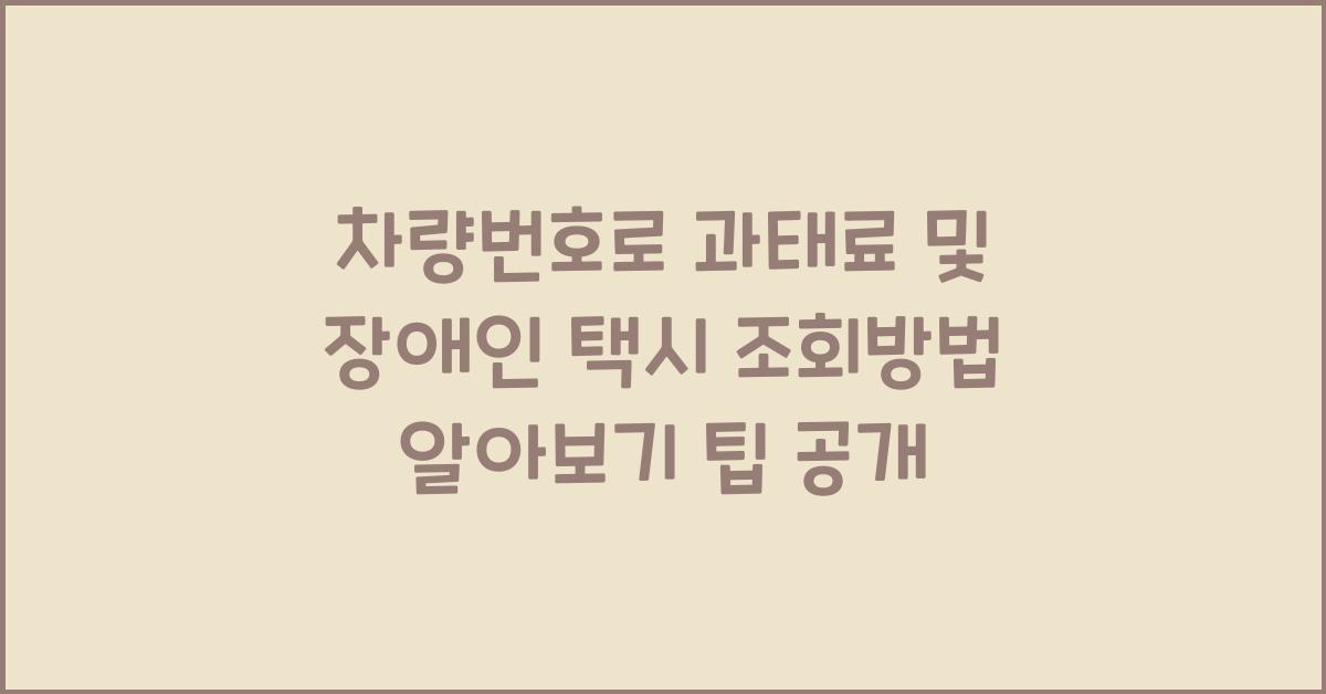 차량번호로 과태료 및 장애인 택시 조회방법 알아보기