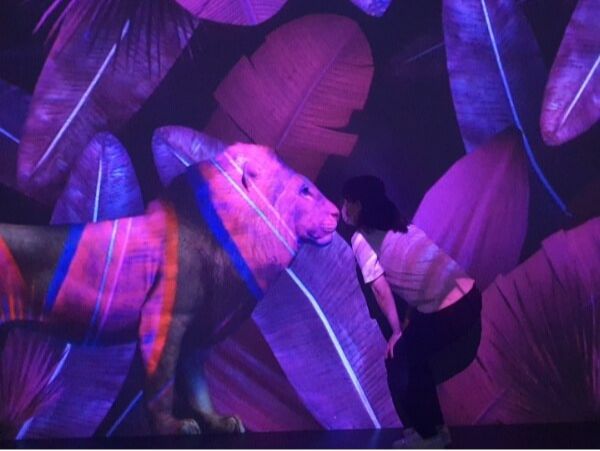 정글 열대 우림 속 사자