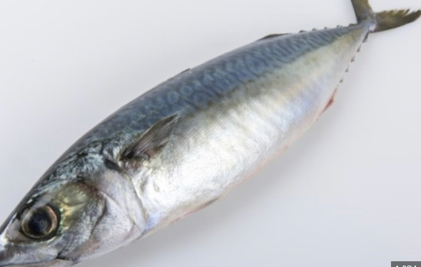 60대 치매 예방 식품, 이 5가지는 꼭 챙기세요