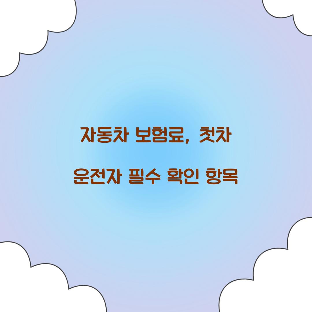 자동차 보험료, 첫차 운전자 필수 확인 항목