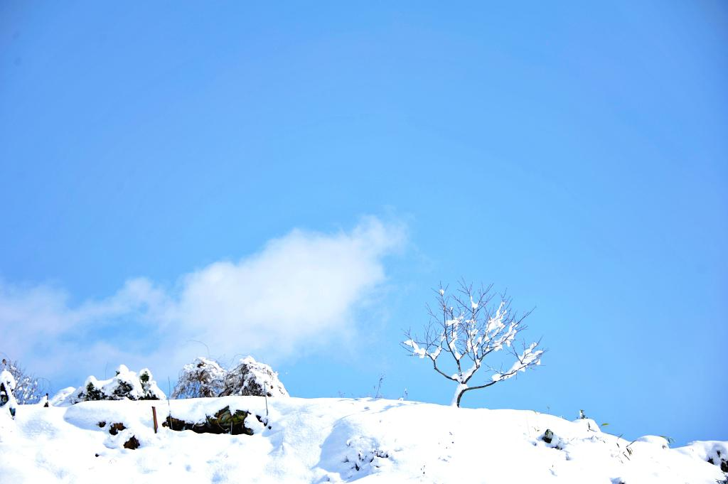 신년 주일 대표 기도문