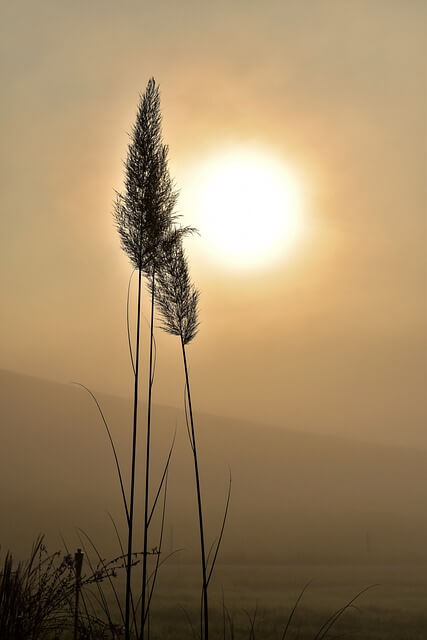 서울 해돋이 명소