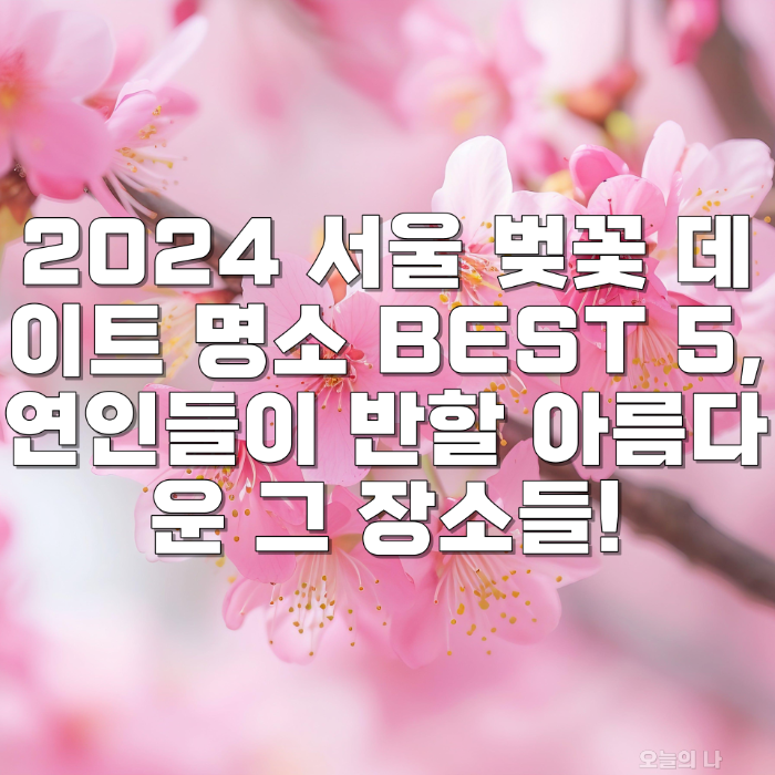 2024 서울 벚꽃