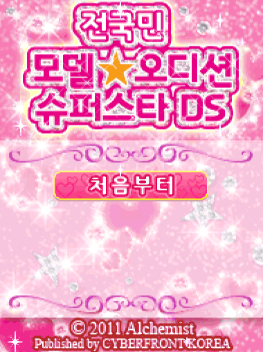 닌텐도 DS 정발판