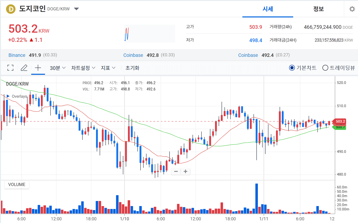 도지코인 전망과 시세