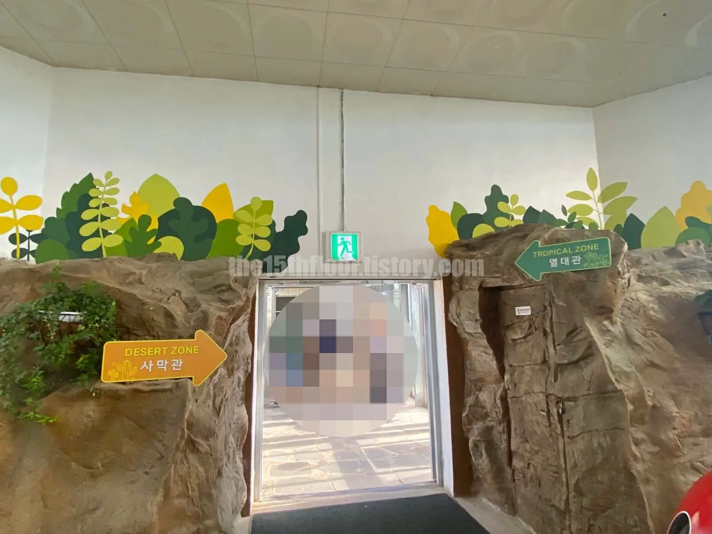 경남 의령 &amp;#39;의령 곤충생태학습관&amp;#39; (1층 &amp;#39;사막관&amp;#39;&amp;#44; &amp;#39;열대관&amp;#39;)