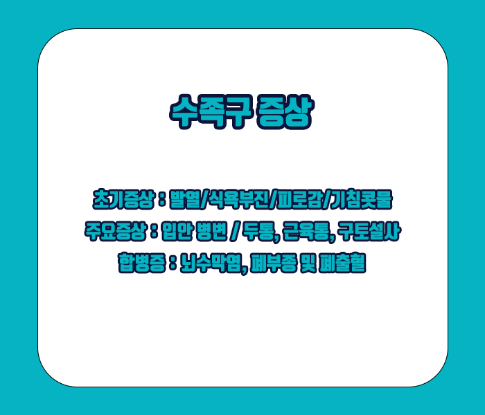 수족구병 증상 - 초기증상, 주요증상, 합병증 총정리