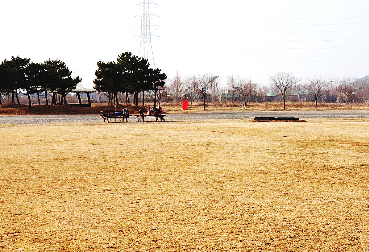 대부도파크골프장 (대부바다향기테마파크 페스티벌파크) 경기 안산시 단원구 대부황금로 1480-7