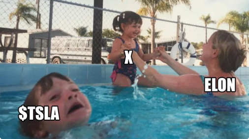 일론은 트위터X만 좋아해